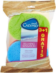 Calypso Sponge Schwamm 4Stück Calypso Sponge Schwamm 4Stück