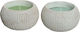 Kaemingk Insect Repellent Candle for Mosquitoes