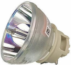102756 Projector Lamp