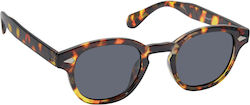 Eyelead Sunglasses Brown with Acetate Frame & Gray Lens