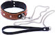 Tie-whips Women's Collar Lanyard Cognac