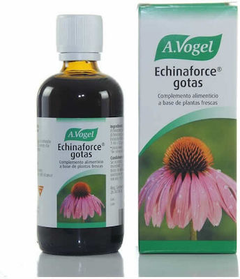 A.Vogel Echinaforce Echinacea 100ml