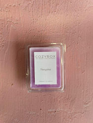 Wax Melt Σοκολάτα 70gr