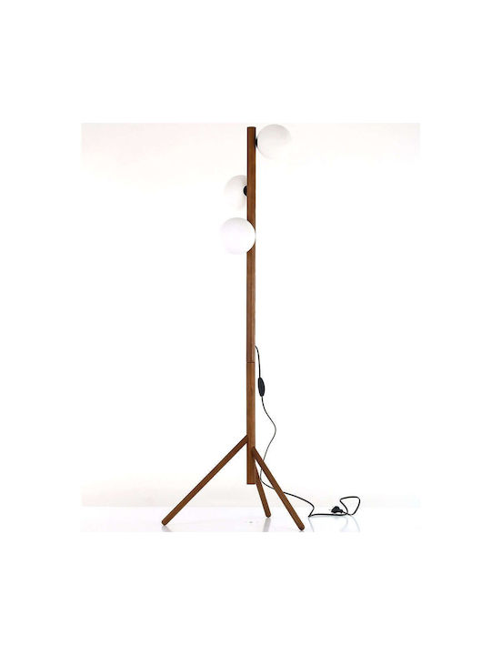 TK Lighting Estera Floor Lamp H150xW38cm. with ...