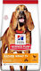 Hill's Science Plan Mature Adult Light Medium 14kg Trockenfutter ohne Gluten für ältere Hunde mittlerer Rassen mit Huhn, Rindfleisch und Schweinefleisch