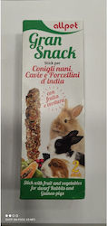 All Pet Nagetierfutter Leckerbissen für Mäuse 110g 2 Stück All Pet Nagetierfutter Leckerbissen für Mäuse 110g 2 Stück