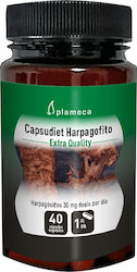 Plameca Capsudiet Harpagofito 600mg 40 φυτικές κάψουλες