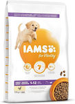 Iams 12kg Trockenfutter für Welpen großer Rassen mit Huhn und Fleisch