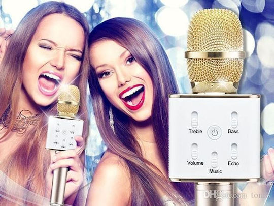 Microfon Karaoke Wireless Auriu 104639