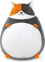 WP Merchandise Kitten 25 cm. WP Merchandise Kitten 25 cm.
