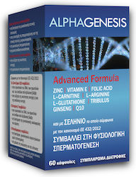 Silverlight Alphagenesis Erweiterte Formel 60 Kapseln Silverlight Alphagenesis Erweiterte Formel 60 Kapseln