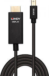 Lindy mini DP Male - DP Male 2m