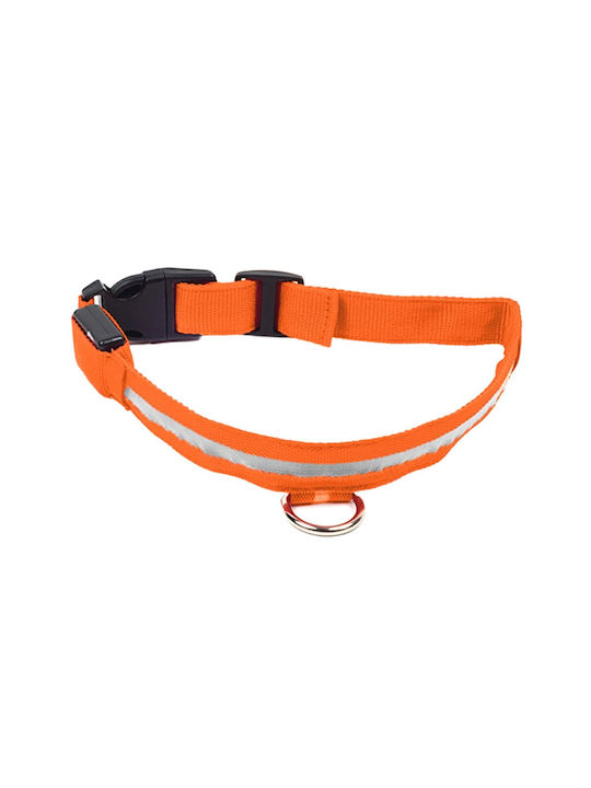 Dog Collar in Orange color Small