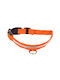 Dog Collar in Orange color Small