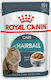 Royal Canin Hairball Υγρή Τροφή για Ενήλικες Γάτες σε Φακελάκι με Ψάρια και Πουλερικά 85gr
