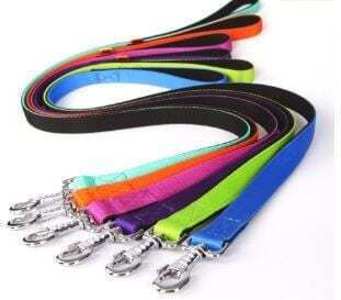 Dingo Dog Leash/Lead Strap in Green color