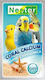 Nestor Nestor Lim Coral Waters Birds Food