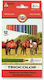 Koh I Noor Triocolor Buntstifte 12 Farben