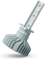 Philips Lamps Car Ultinon H1 LED White 12W