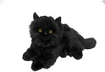 *plush Cat 30 Cm Underneath Black