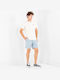 Herrenshorts Spring Blue