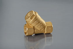 Valvex Brass Filter 1/2"