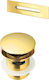 Deante Brass Siphon with Overflow Gold