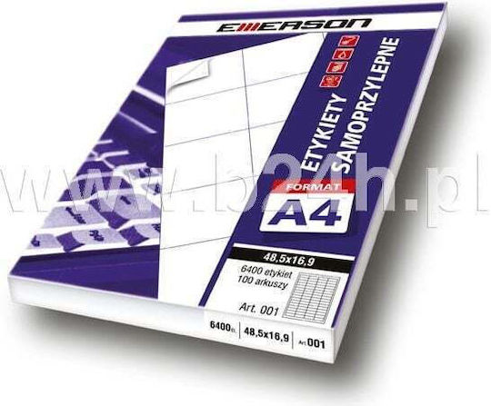 Emerson Self-Adhesive Rectangular A4 Labels 100x30mm