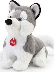 Trudi Trudi Welpe Husky M