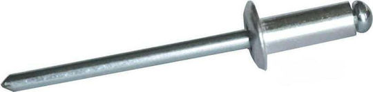 Dedra Aluminum Rivet 4.8/12.5mm 50pcs
