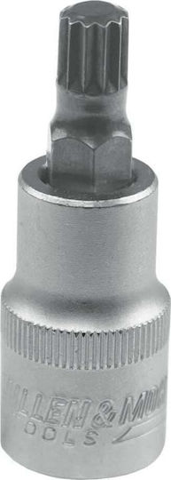 Dedra Walnut with Spline Head and Socket 1/2'' M5
