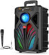 Karaoke Lautsprecher mit Kabelgebundenem Mikrofon SING-E ZQS8149 Schwarzes