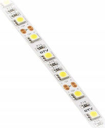 Gtv LED Лента Телевизор 12V със Неутрално бяло Светлина 5м