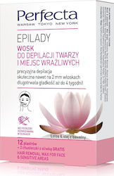 Perfecta Nose strips 12τμχ Perfecta Nose strips 12τμχ