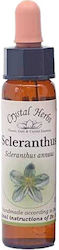 Crystal Herbs Σκλήρανθος (scleranthus) Ανθοΐαμα 10ml