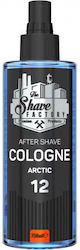 The Shave Factory After Rasur 250ml