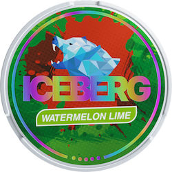 Iceberg Chewing gum 1pcs