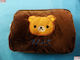 Hot Water Bottle General Use
