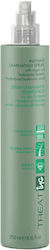 ING Hair Mist 250ml