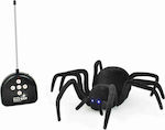 Pro Kids Remote Controlled Toy in Black Color