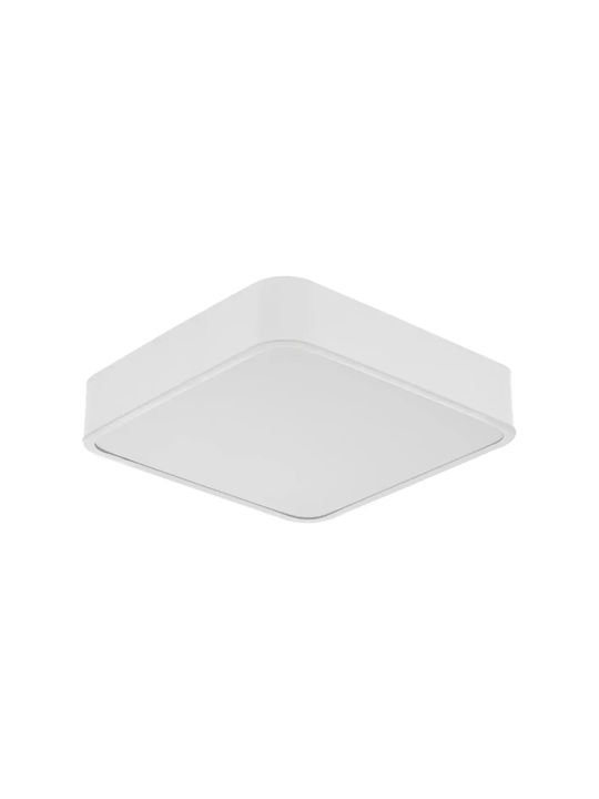 Metal Ceiling Light with Integrated LED White