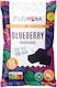 Frutapura Blueberries Χωρίς Ζάχαρη 32gr