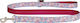 Dino Dog Leash/Lead Strap in Orange color