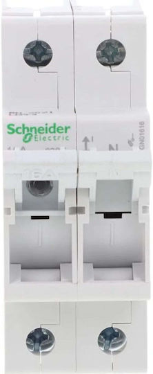 Schneider Electric Sicherungen Stand elektrische Schalttafel MGN01616