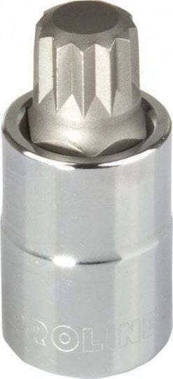 Proline Bit-Stecknuss mit Ribe-Bit und Antriebsvierkant 1/2'' Größe M10x100mm 1Stück