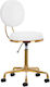 Salon Stools Wheeled Stool with Backrest White