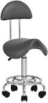 Salon Stools Scaun