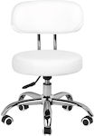 Salon Stools Scaun