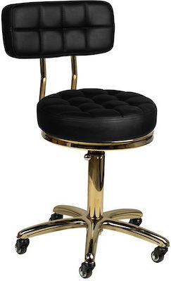 Salon Stools Scaun