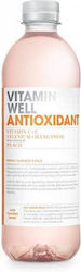 Vitamin Well 500ml